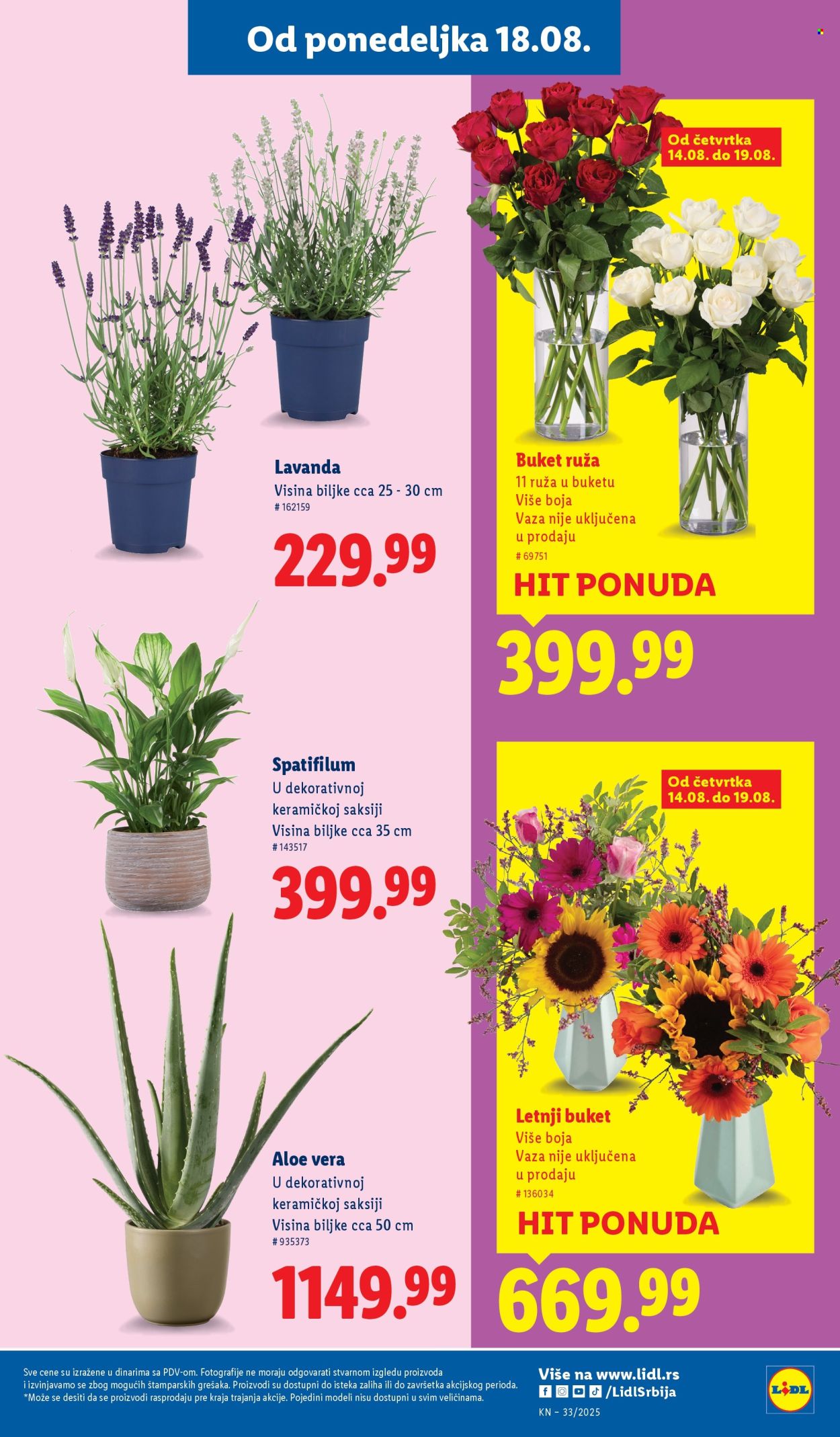 Lidl katalog - 14.08.2025 - 20.08.2025. Stranica 43