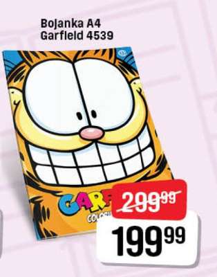 Bojanka A4 Garfield 4539