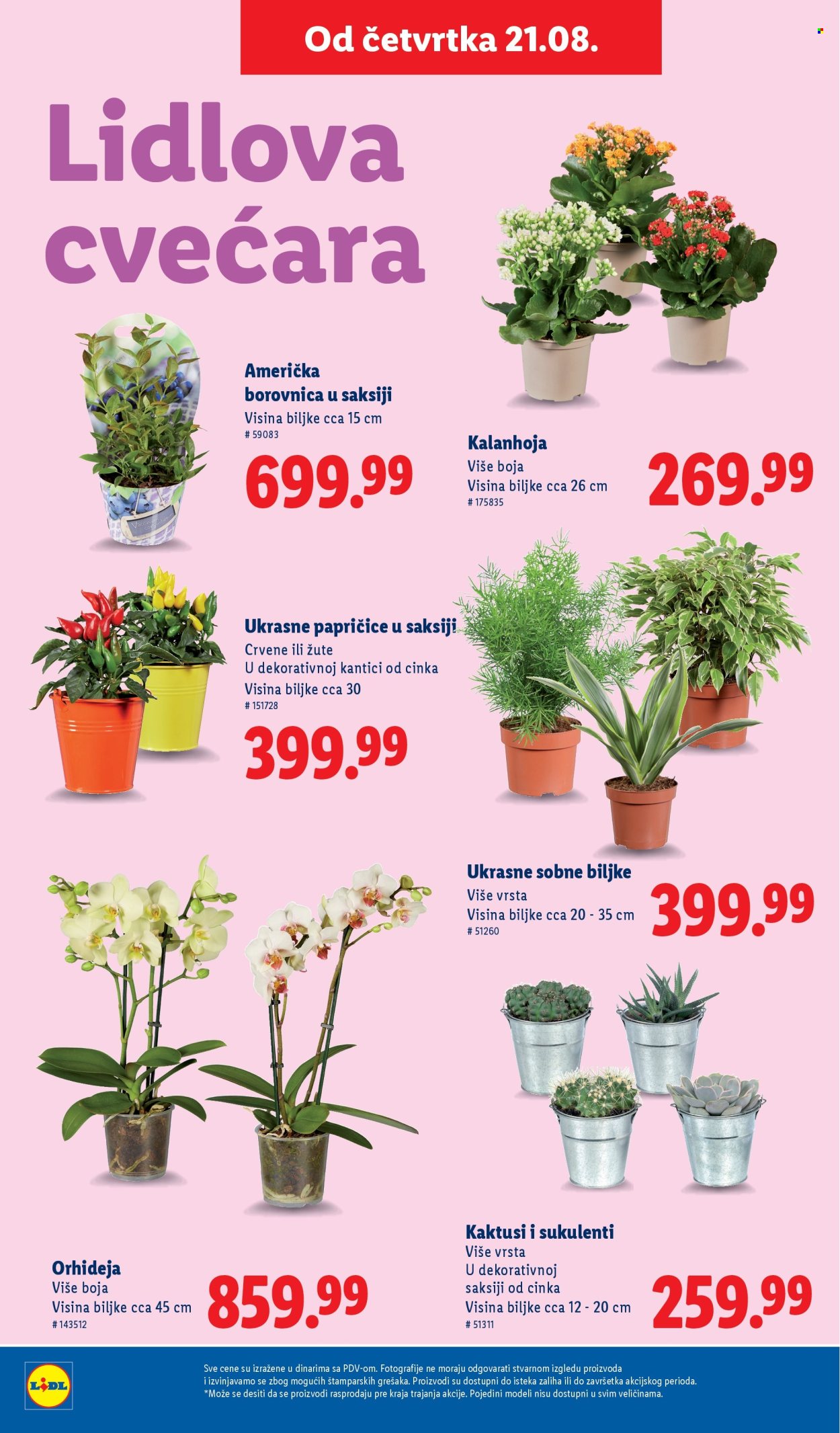 Lidl katalog - 21.08.2025 - 27.08.2025. Stranica 58