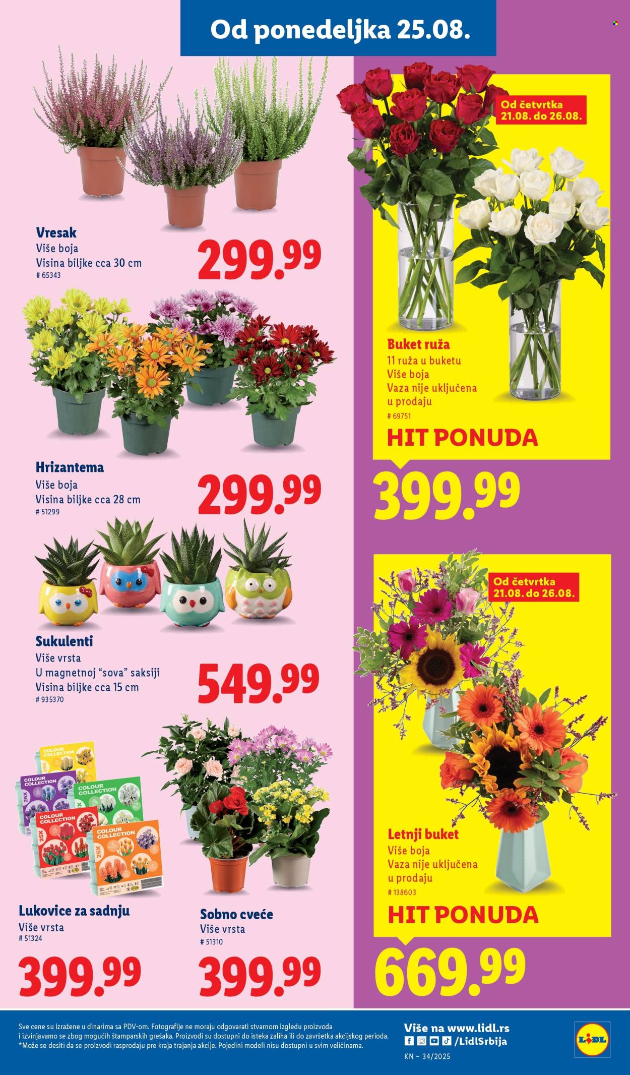 Lidl katalog - 21.08.2025 - 27.08.2025. Stranica 59