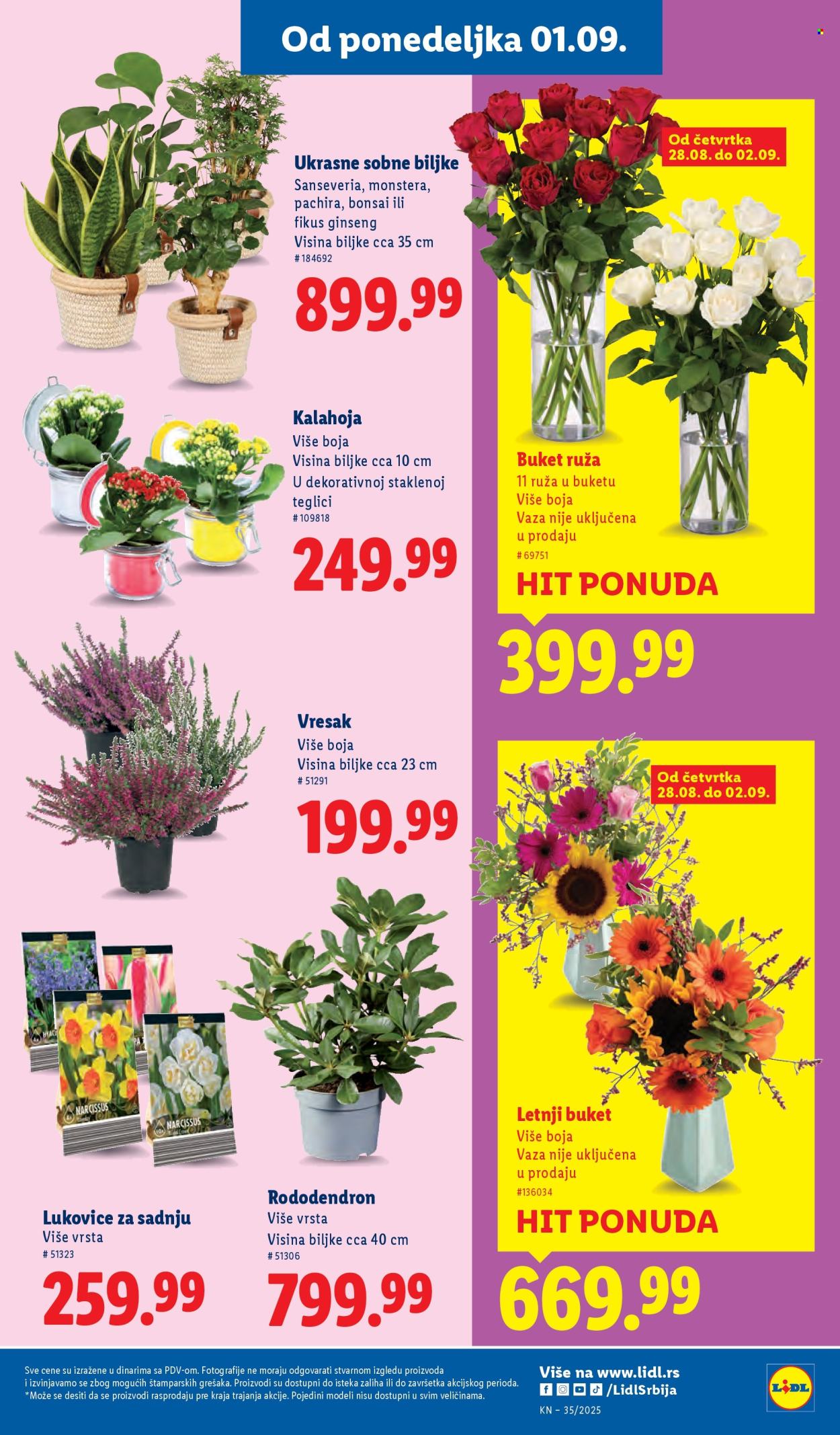 Lidl katalog - 28.08.2025 - 03.09.2025. Stranica 53