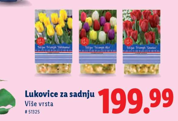 Lukovice za sadnju