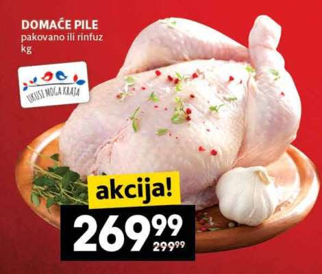 Domaće pile