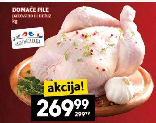 Domaće pile