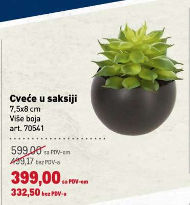 Cveće u saksiji