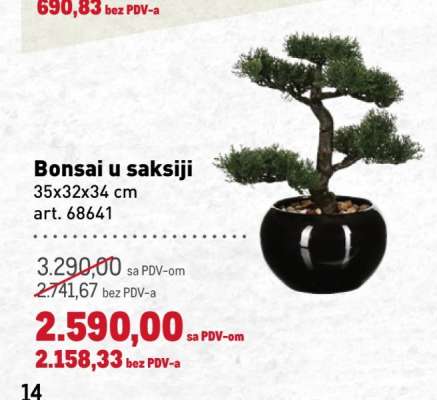 Bonsai u saksiji