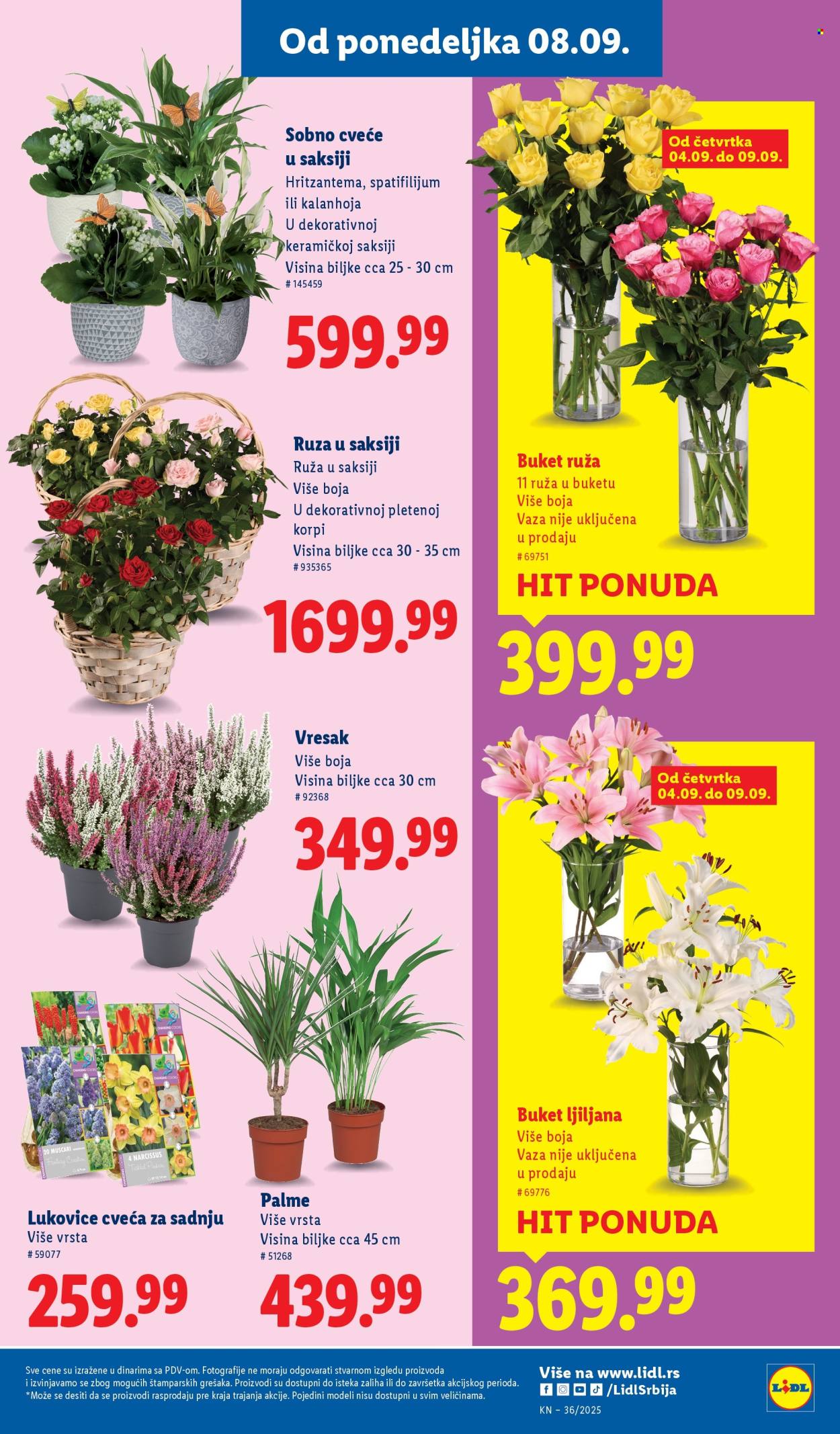 Lidl katalog - 04.09.2025 - 10.09.2025. Stranica 29