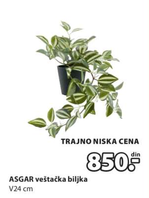 ASGAR VEŠTAČKA BILJKA