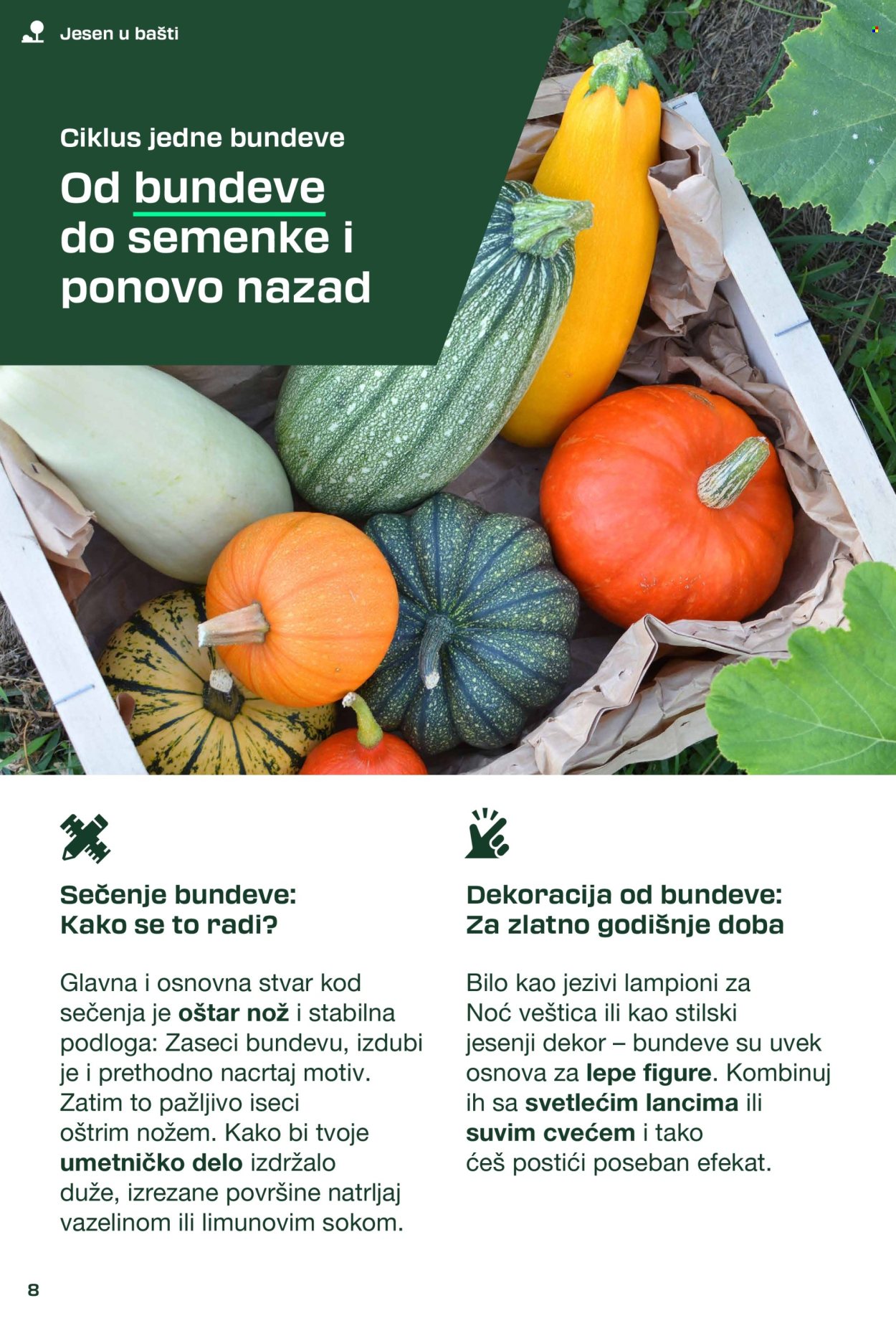 Lidl katalog. Stranica 8