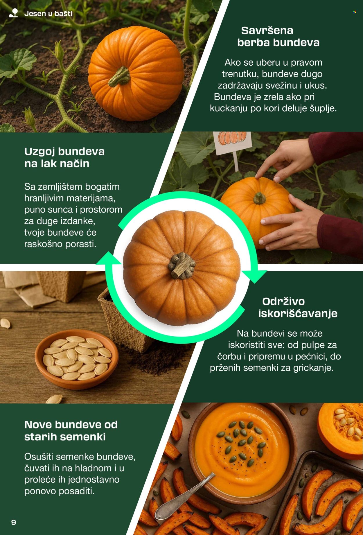 Lidl katalog. Stranica 9