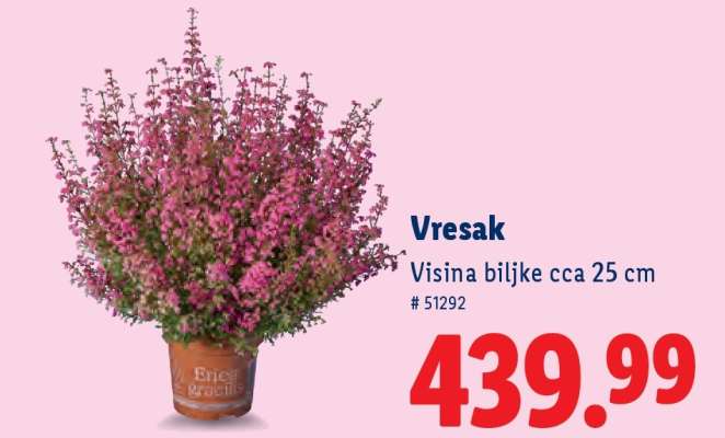 Vresak