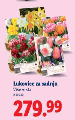 Lukovice za sadnju