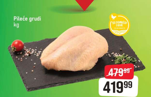 PILEĆE GRUDI