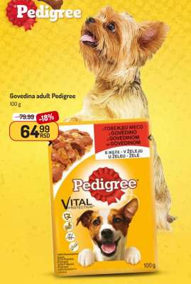 Govedina adult Pedigree