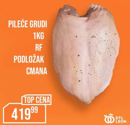 PILEĆE GRUDI