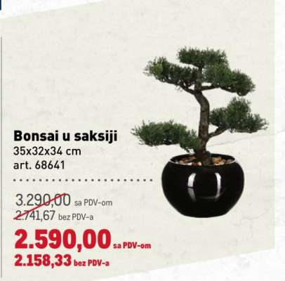 Bonsai u saksiji