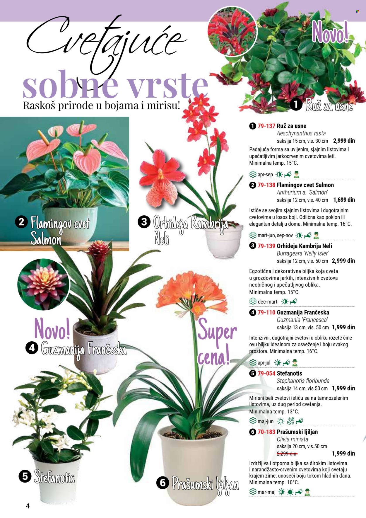 Flora Ekspres katalog. Stranica 4