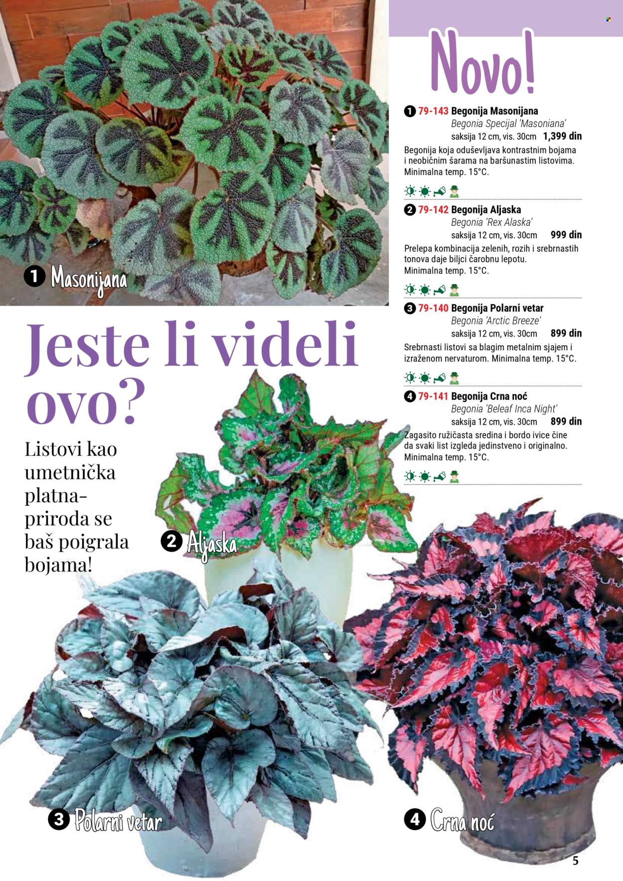 Flora Ekspres katalog. Stranica 5
