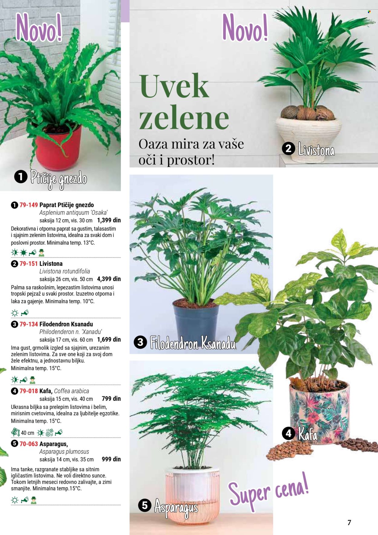 Flora Ekspres katalog. Stranica 7