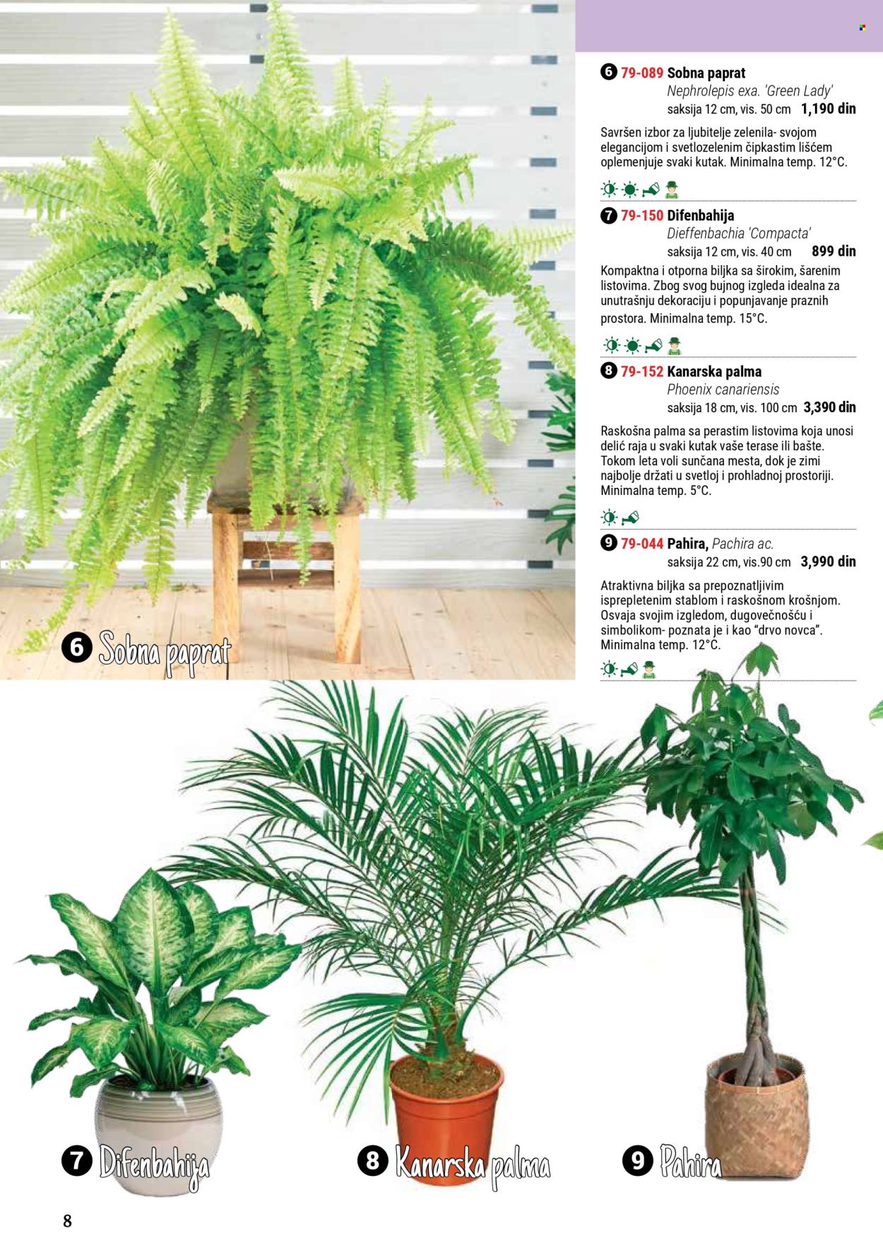 Flora Ekspres katalog. Stranica 8