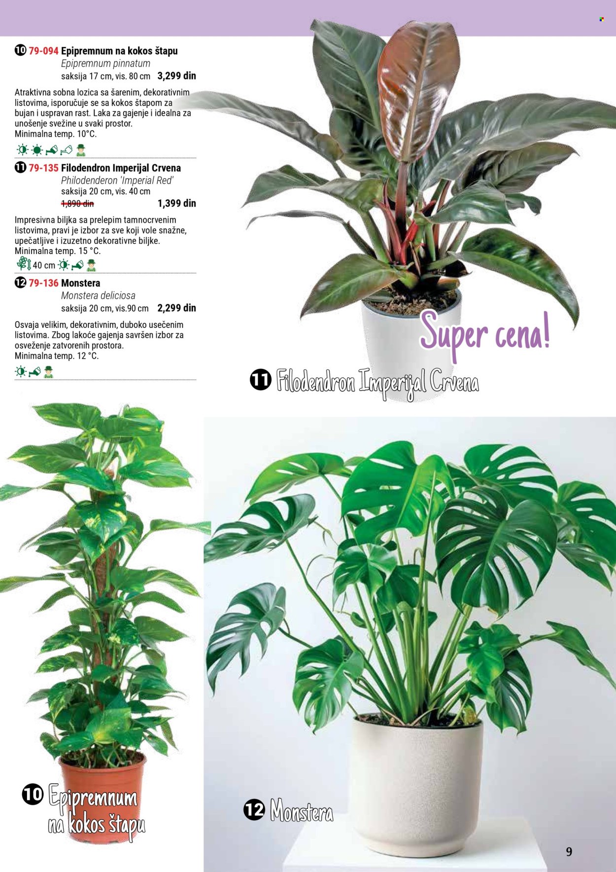 Flora Ekspres katalog. Stranica 9
