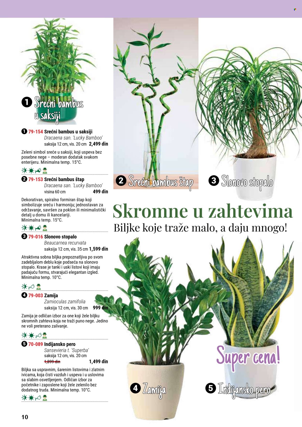 Flora Ekspres katalog. Stranica 10
