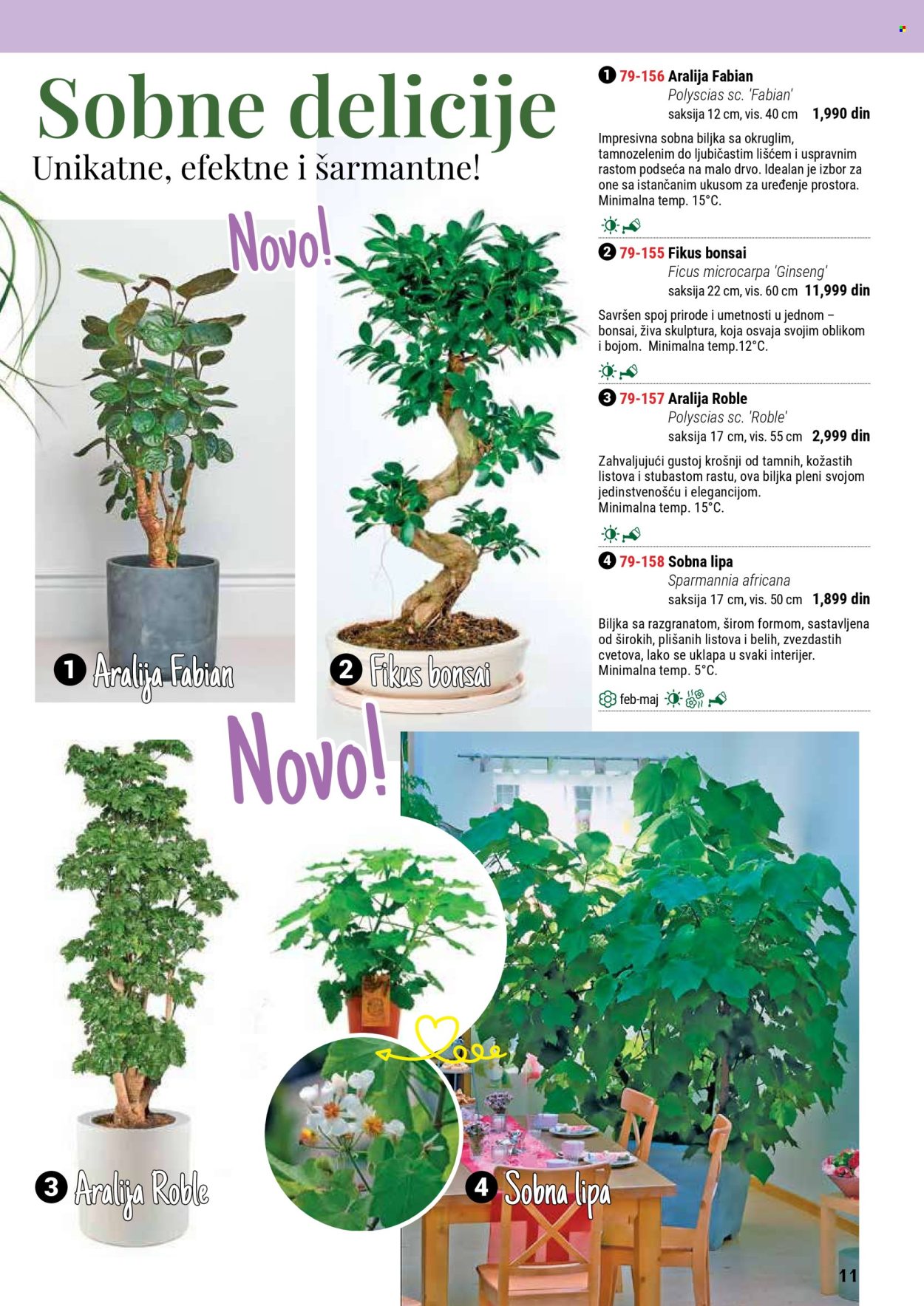Flora Ekspres katalog. Stranica 11