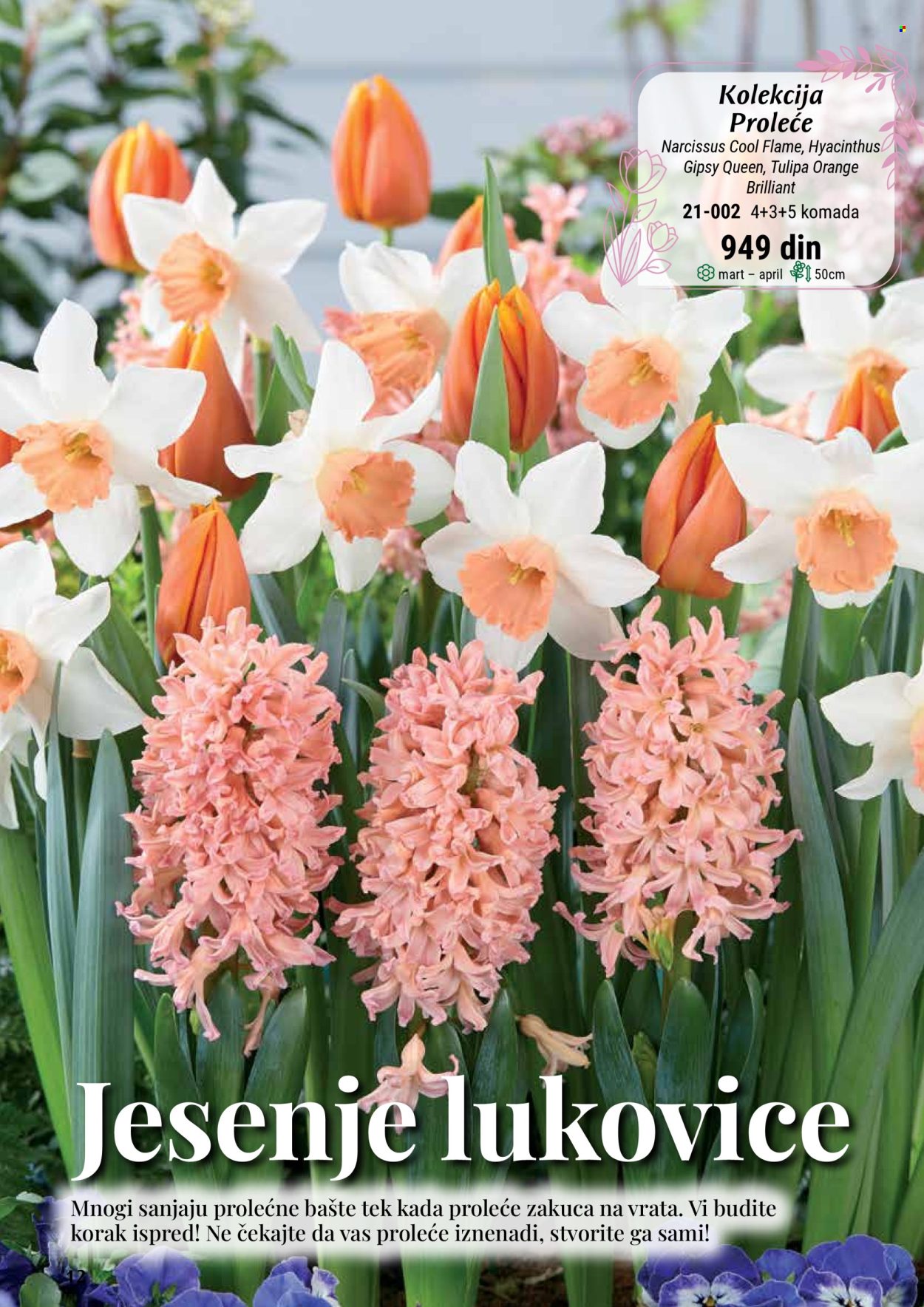 Flora Ekspres katalog. Stranica 12