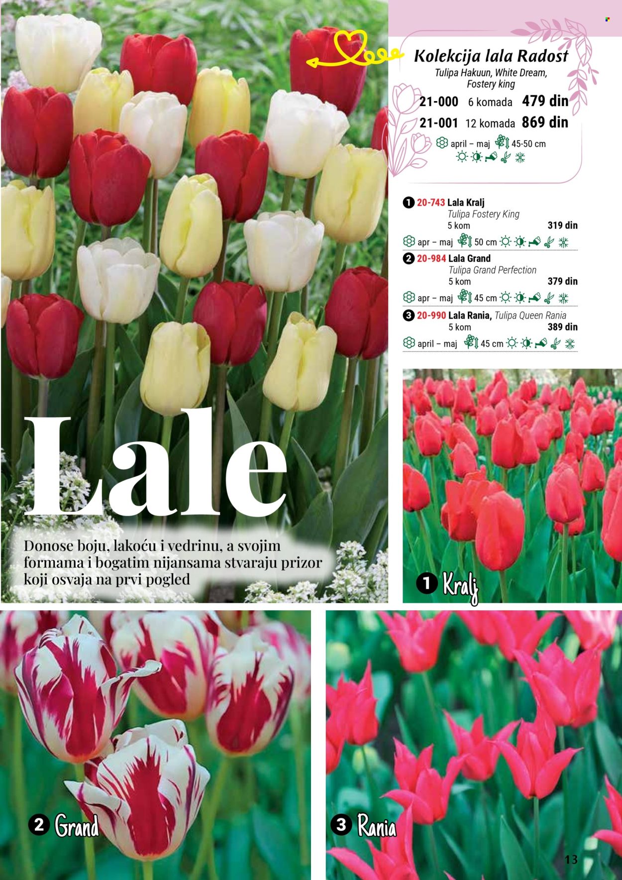 Flora Ekspres katalog. Stranica 13