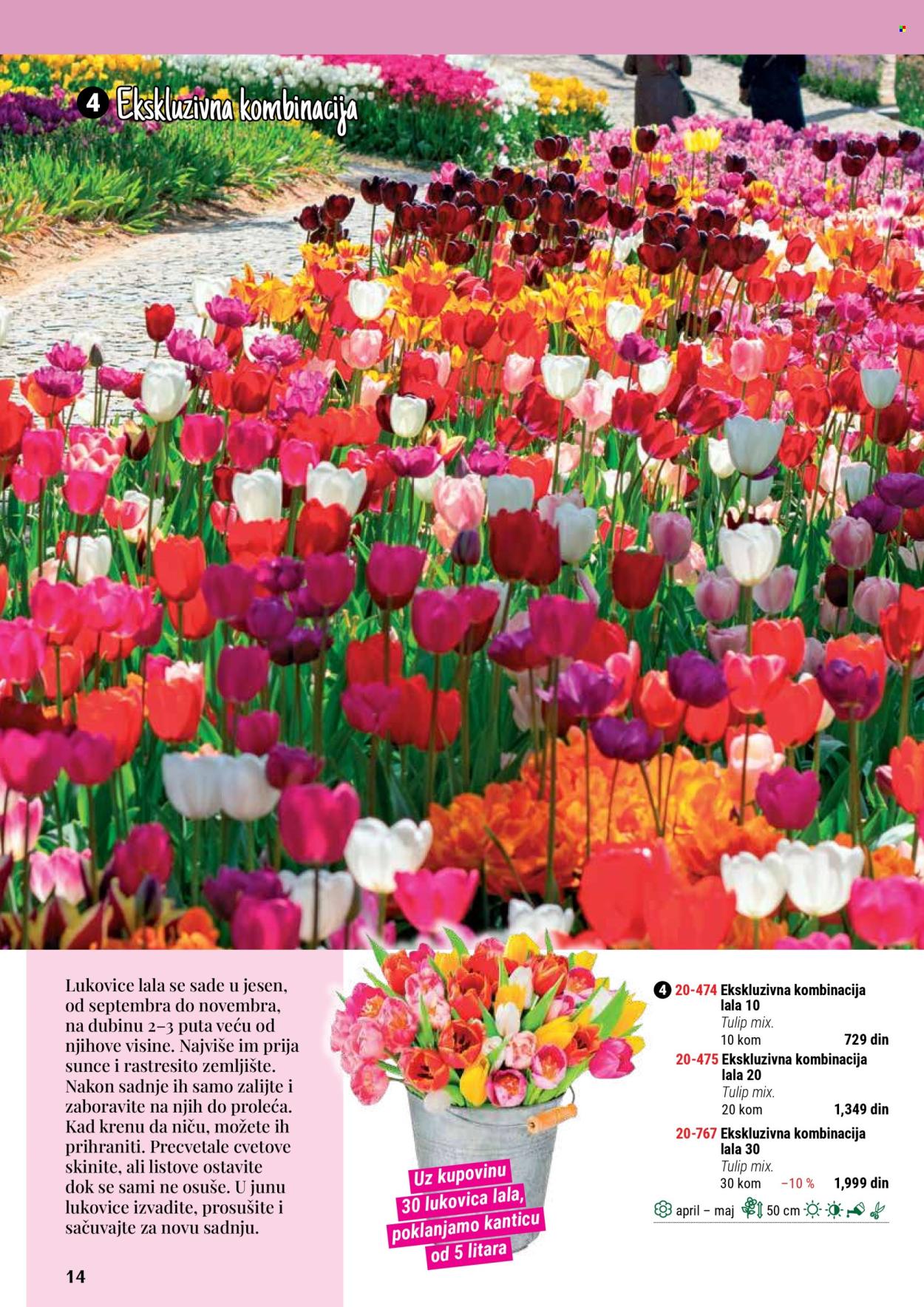 Flora Ekspres katalog. Stranica 14