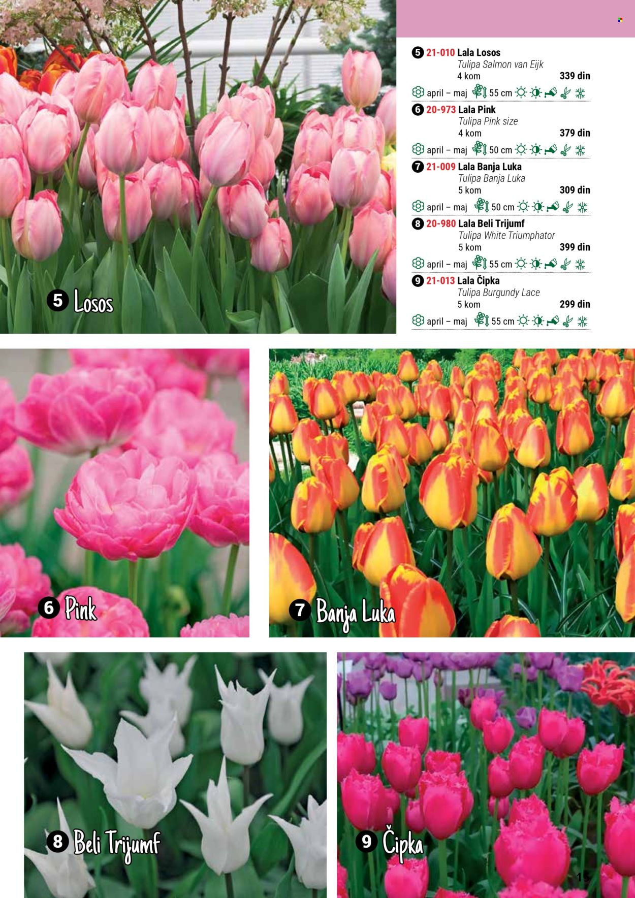 Flora Ekspres katalog. Stranica 15