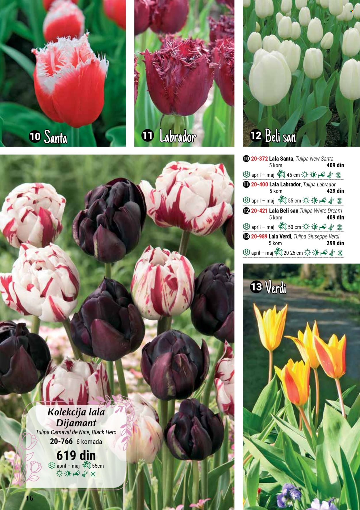 Flora Ekspres katalog. Stranica 16