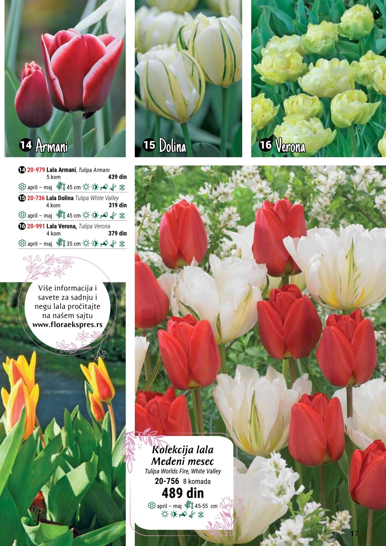 Flora Ekspres katalog. Stranica 17