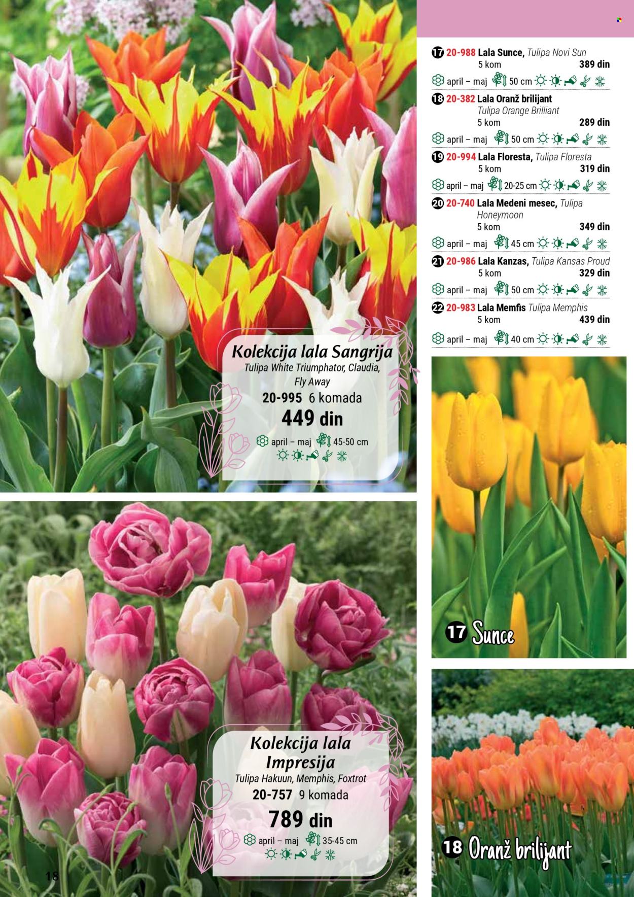 Flora Ekspres katalog. Stranica 18