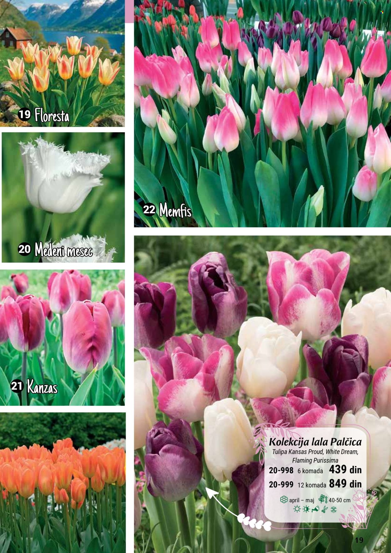 Flora Ekspres katalog. Stranica 19