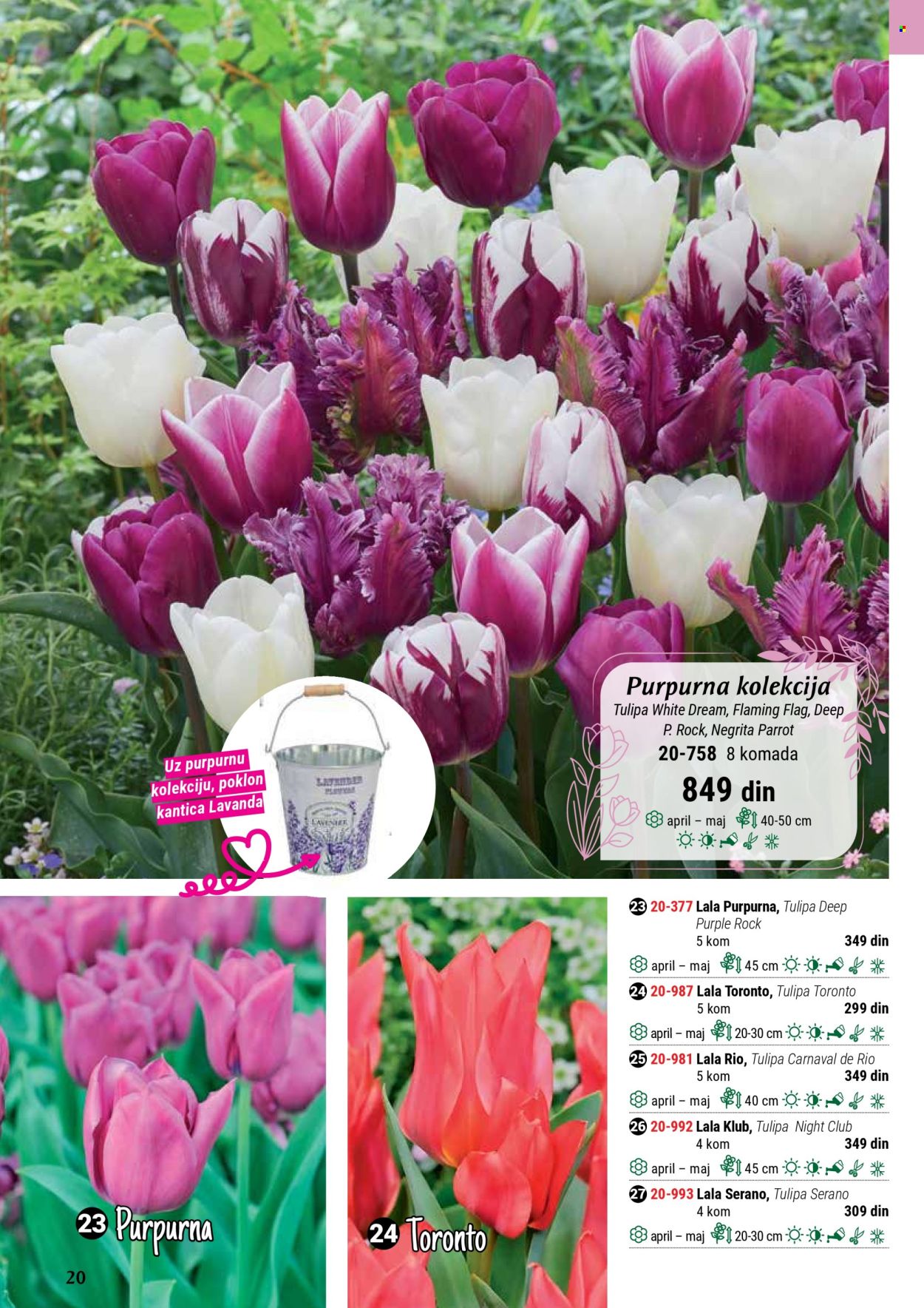 Flora Ekspres katalog. Stranica 20