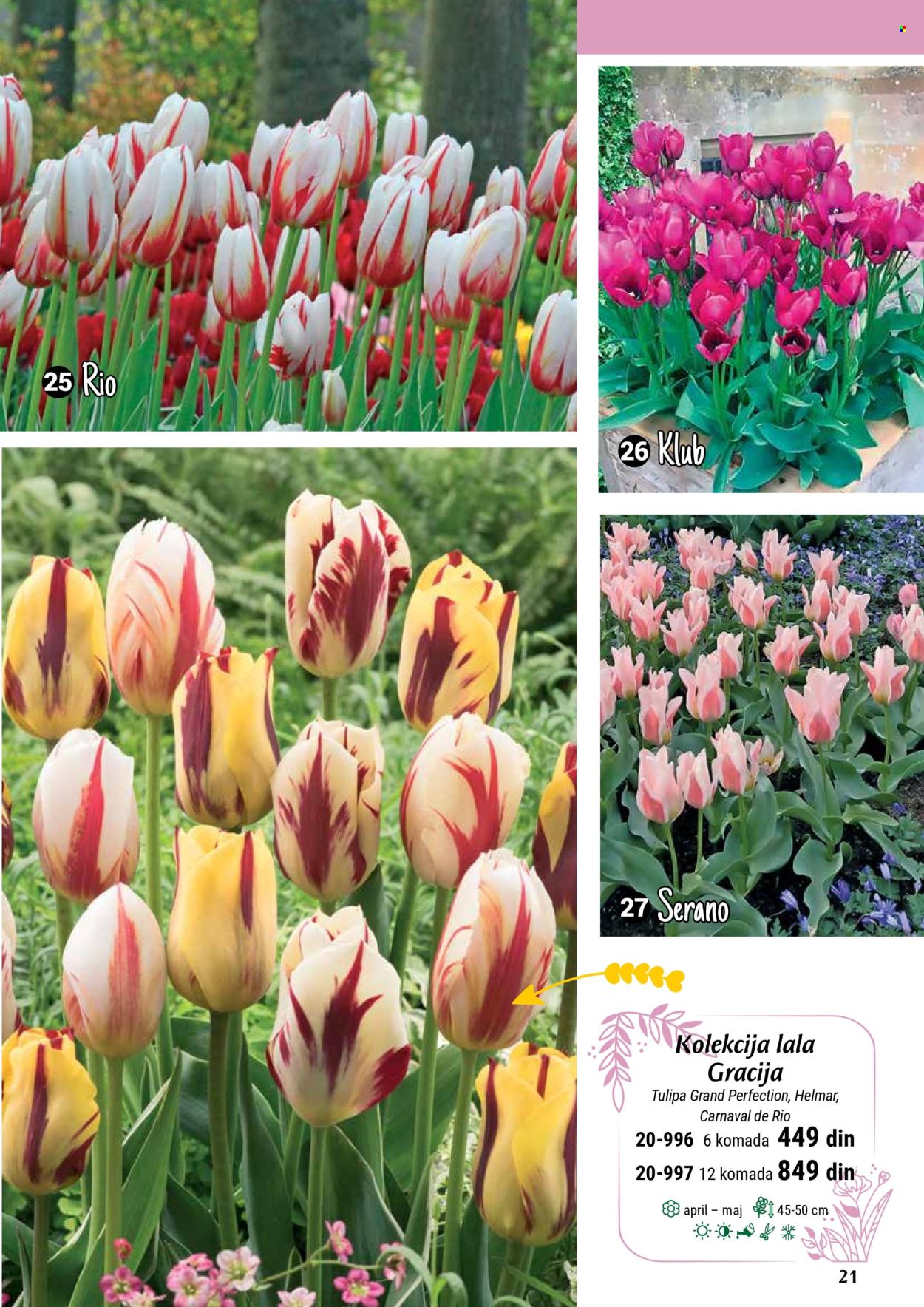 Flora Ekspres katalog. Stranica 21