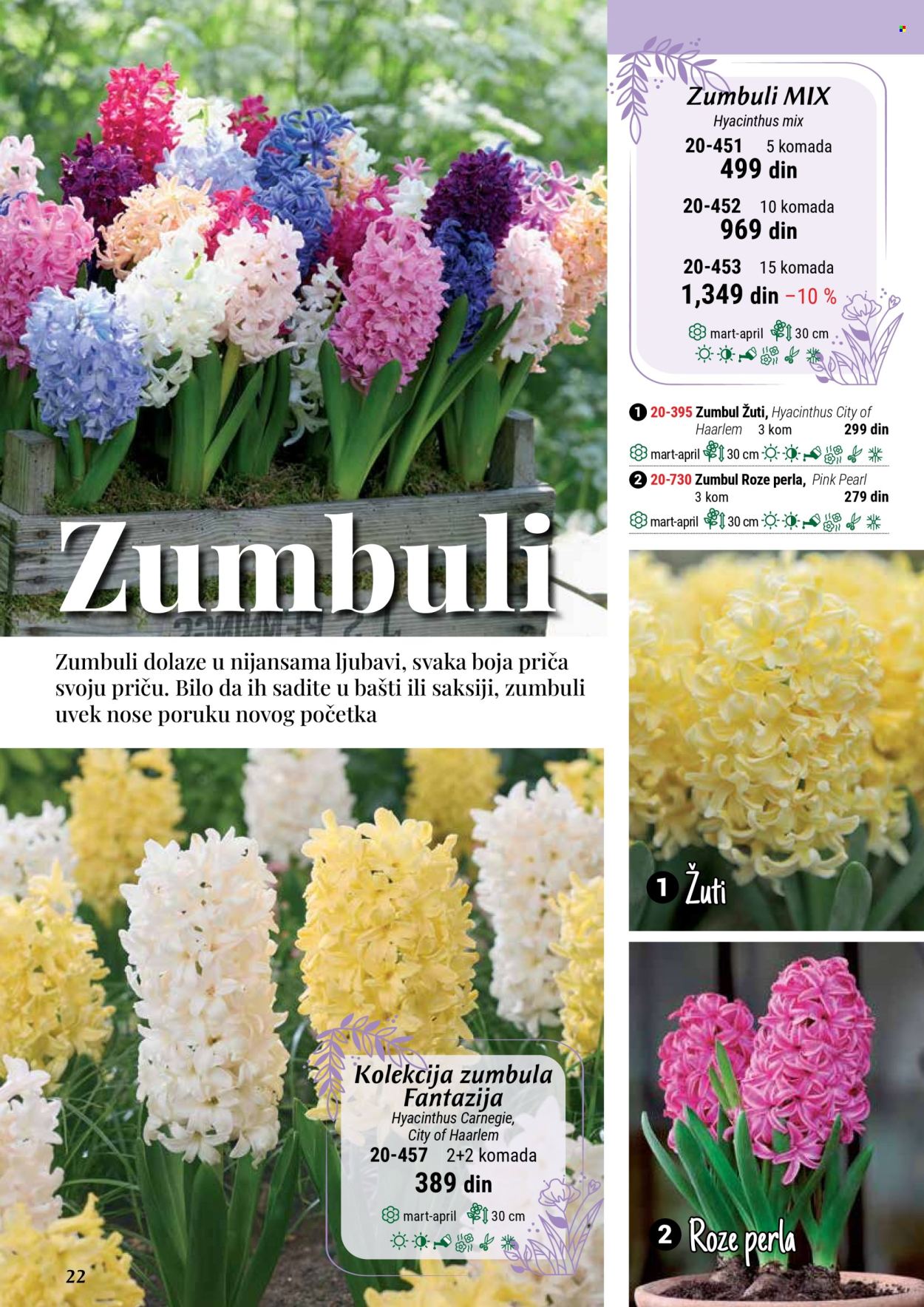 Flora Ekspres katalog. Stranica 22