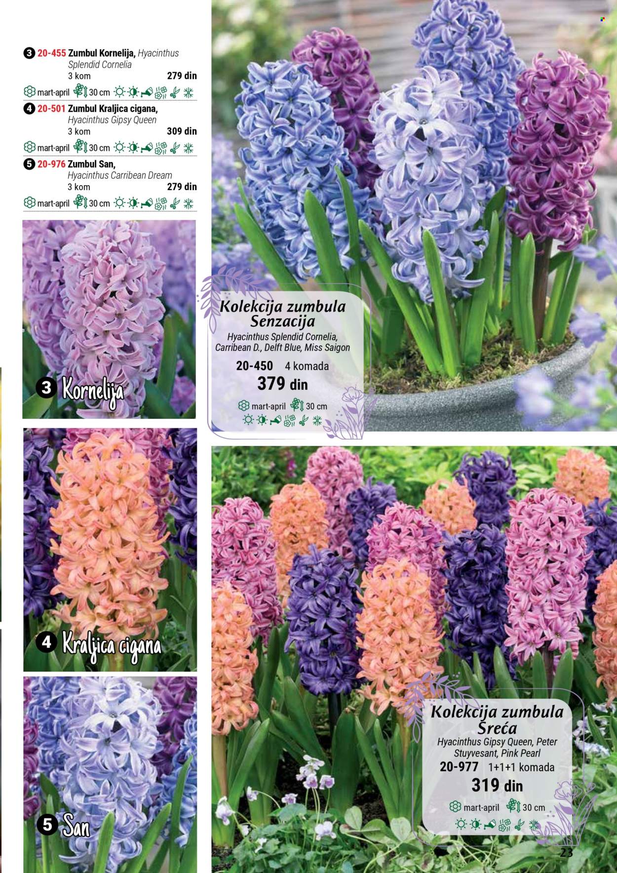 Flora Ekspres katalog. Stranica 23