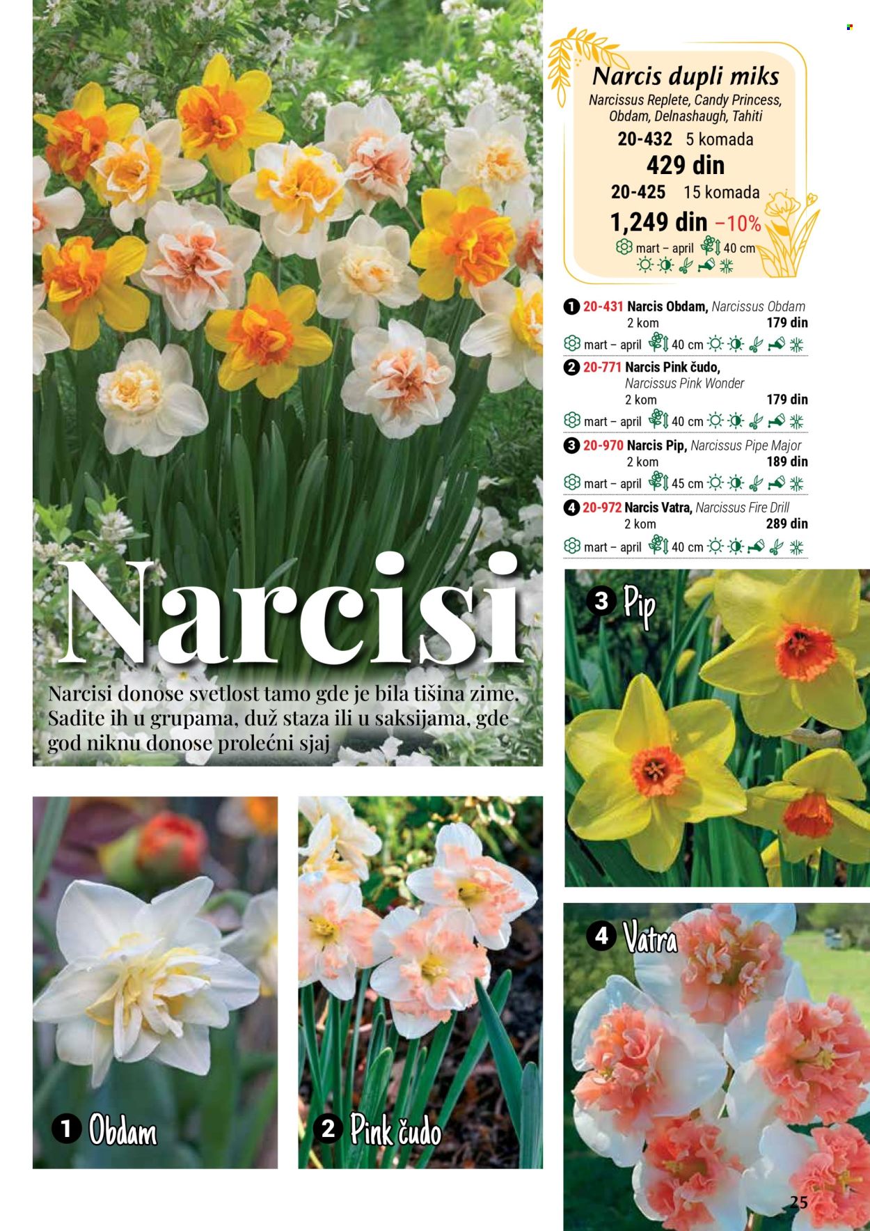 Flora Ekspres katalog. Stranica 25