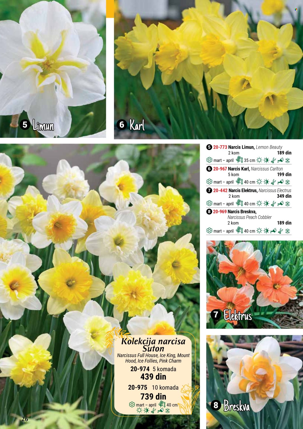 Flora Ekspres katalog. Stranica 26