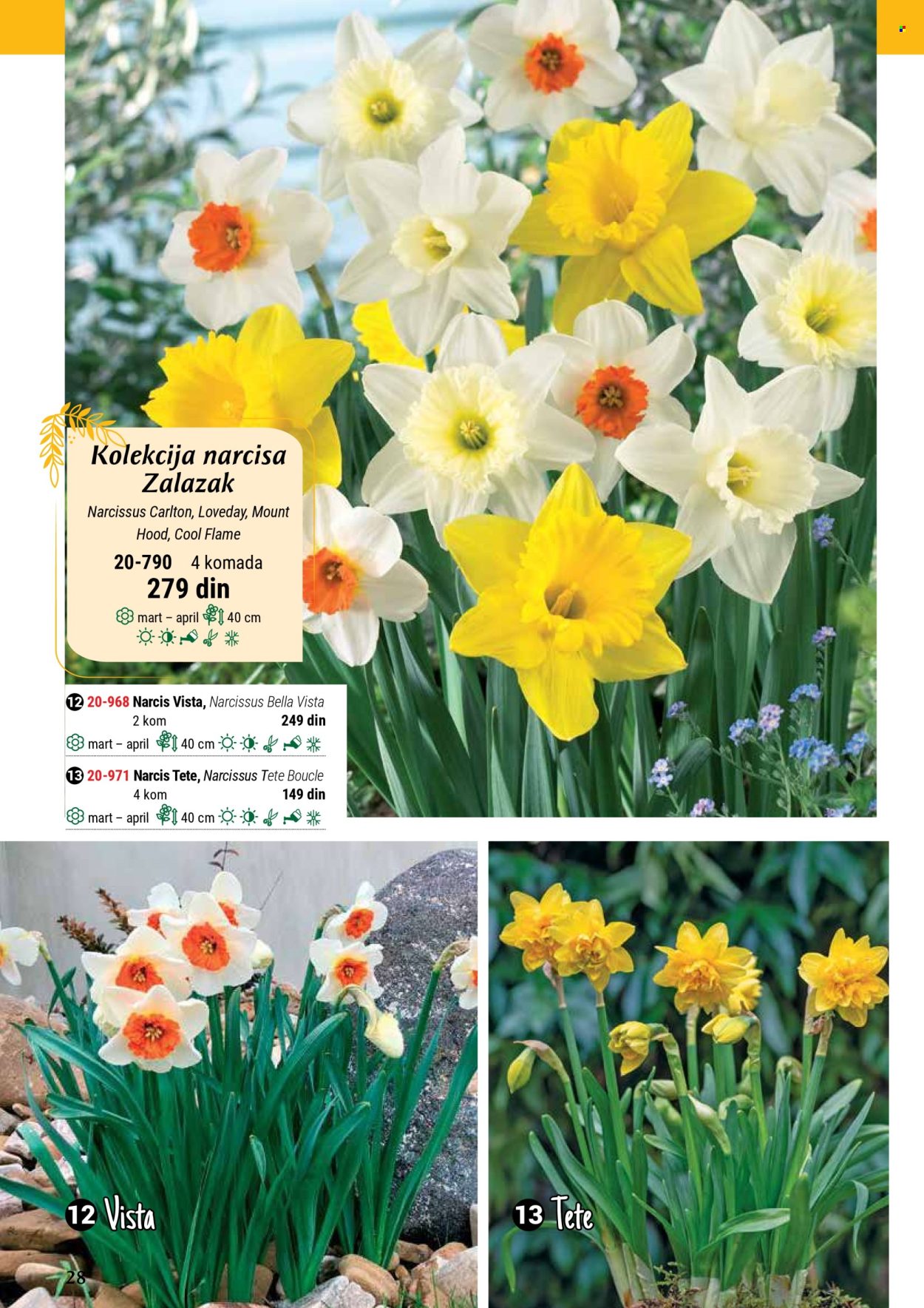 Flora Ekspres katalog. Stranica 28