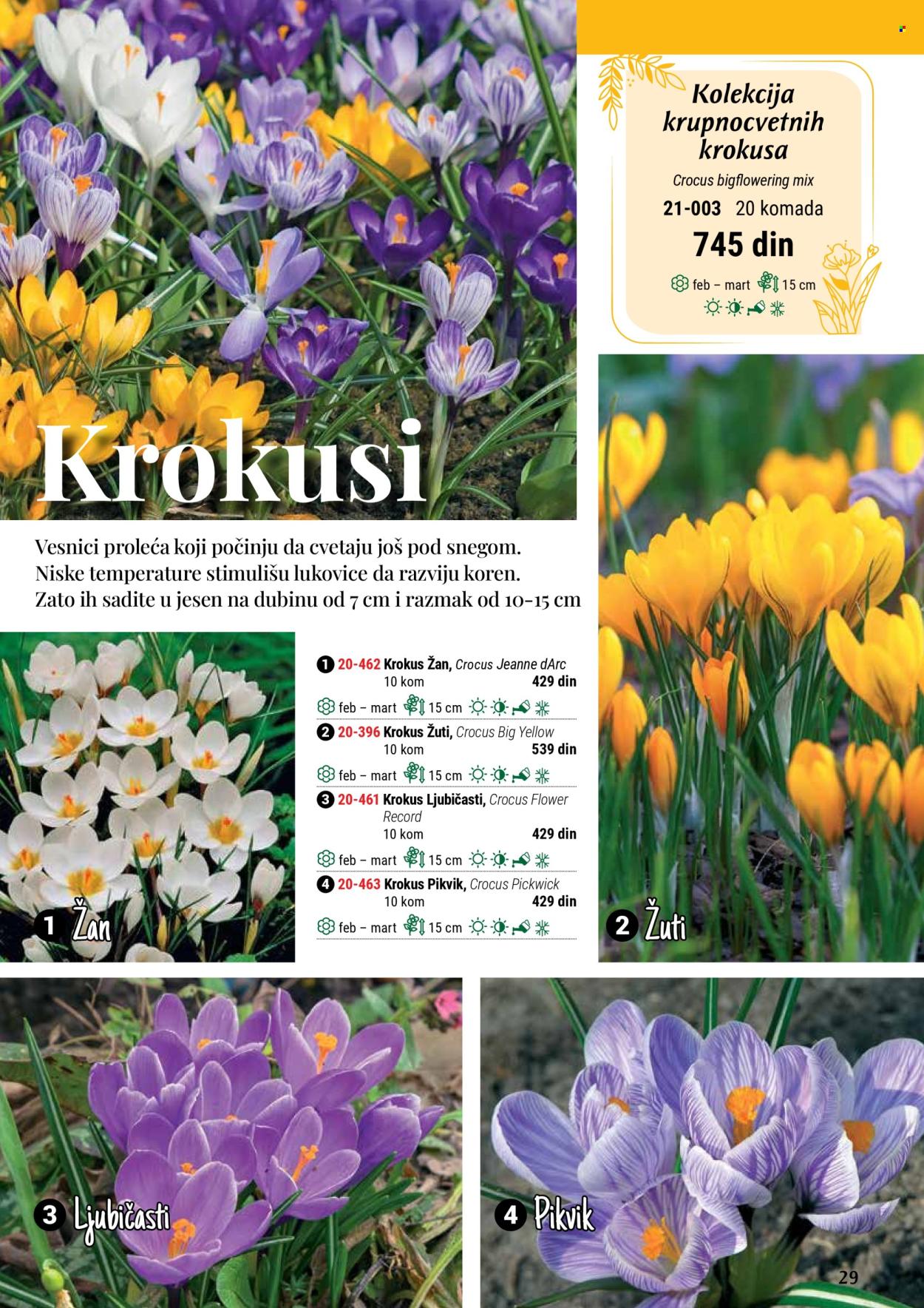 Flora Ekspres katalog. Stranica 29