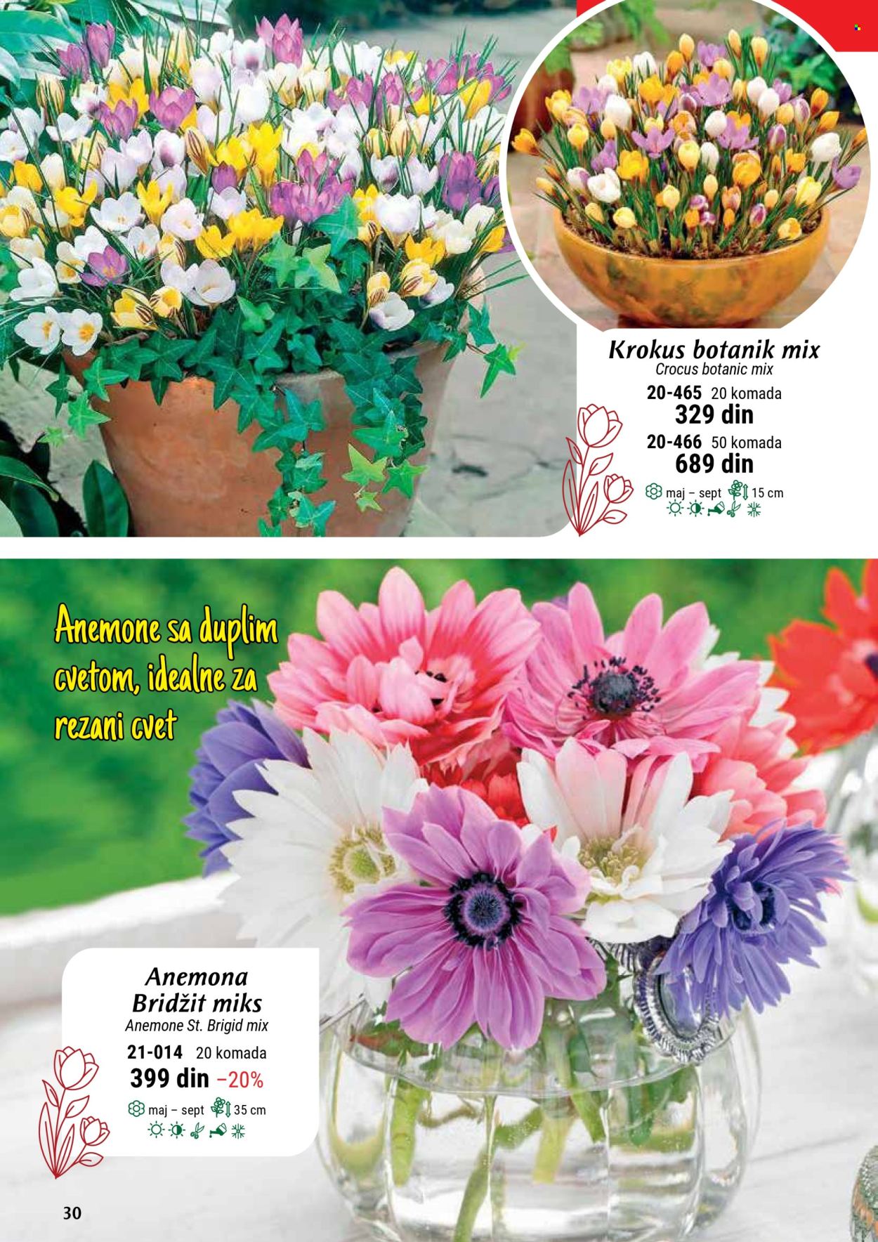 Flora Ekspres katalog. Stranica 30