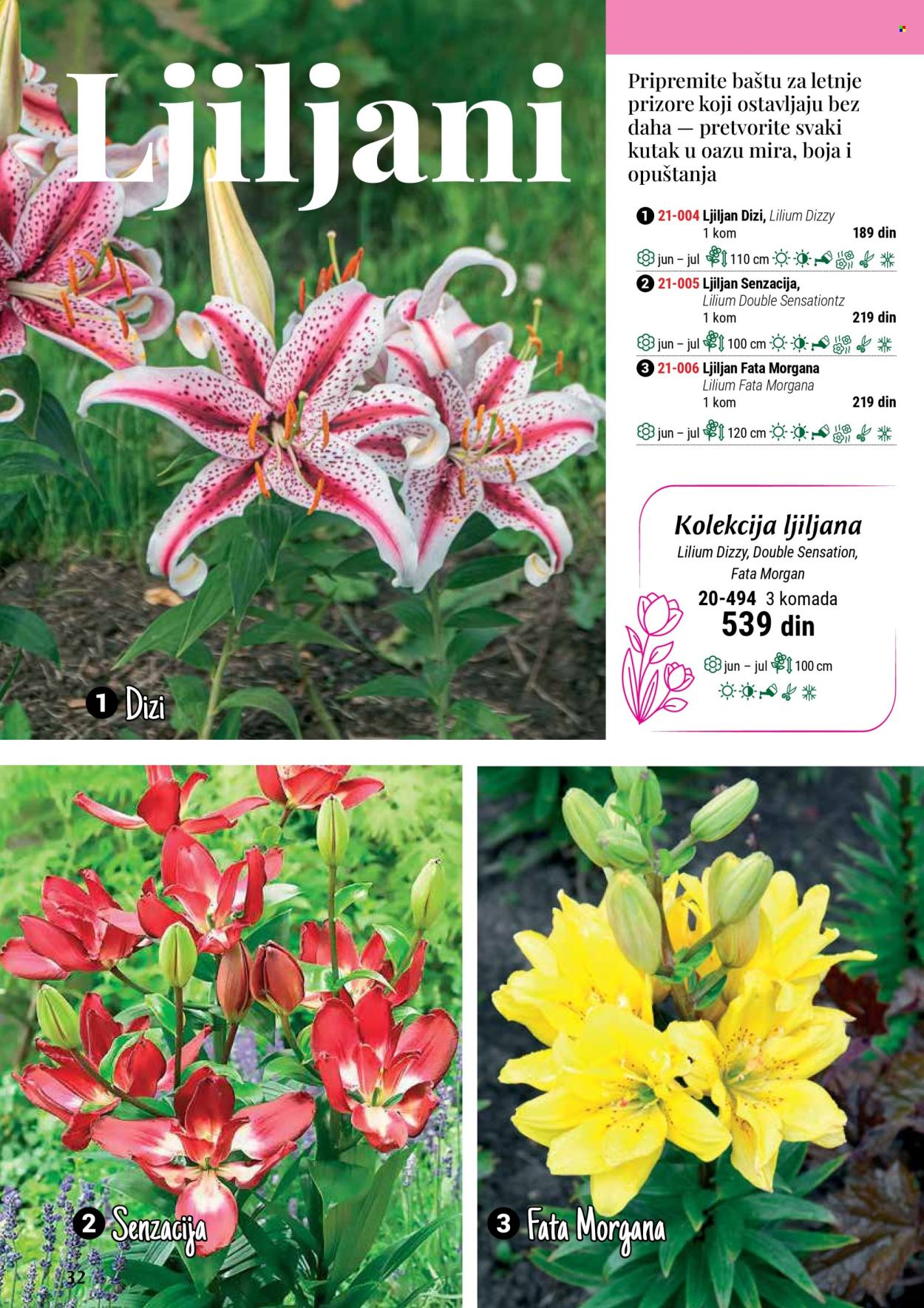 Flora Ekspres katalog. Stranica 32