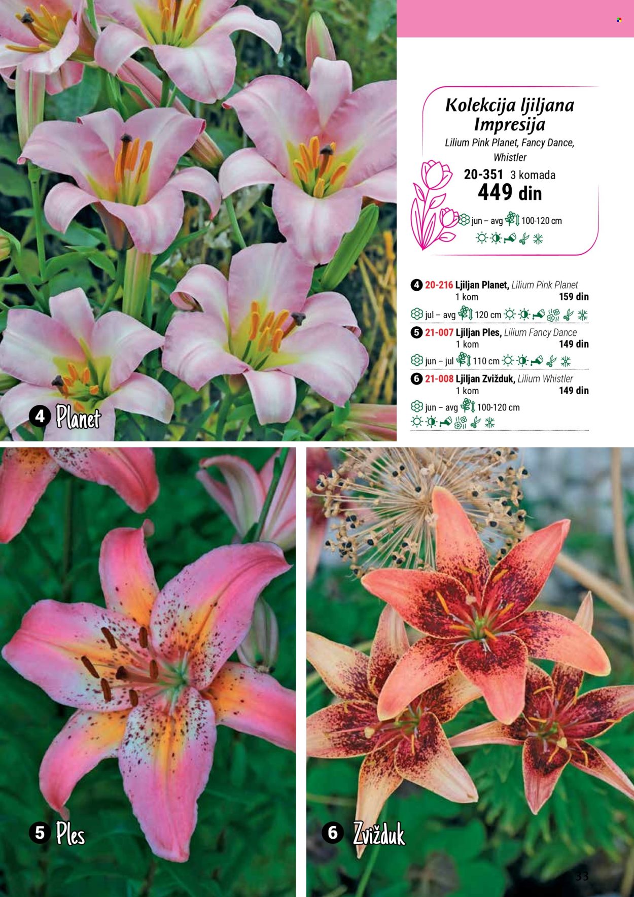 Flora Ekspres katalog. Stranica 33