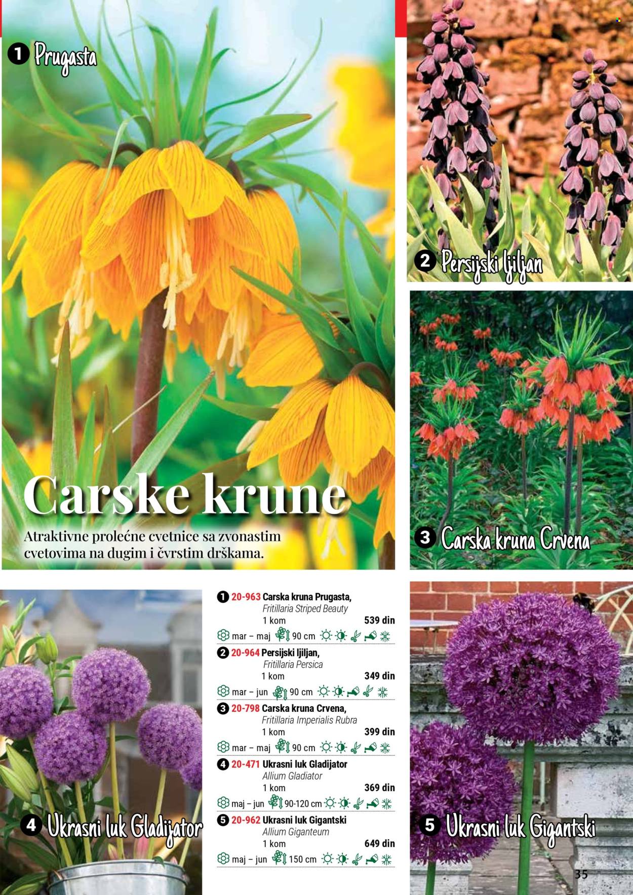 Flora Ekspres katalog. Stranica 35