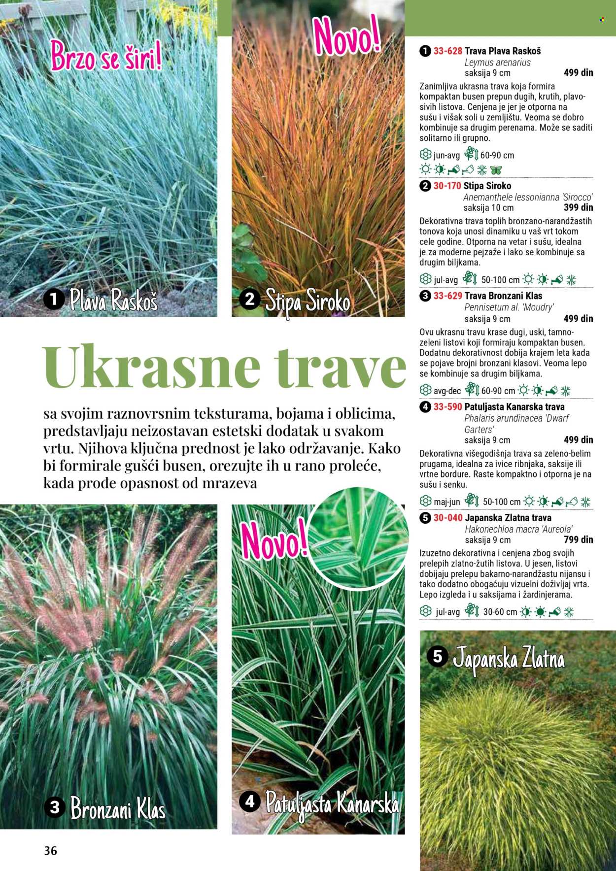 Flora Ekspres katalog. Stranica 36