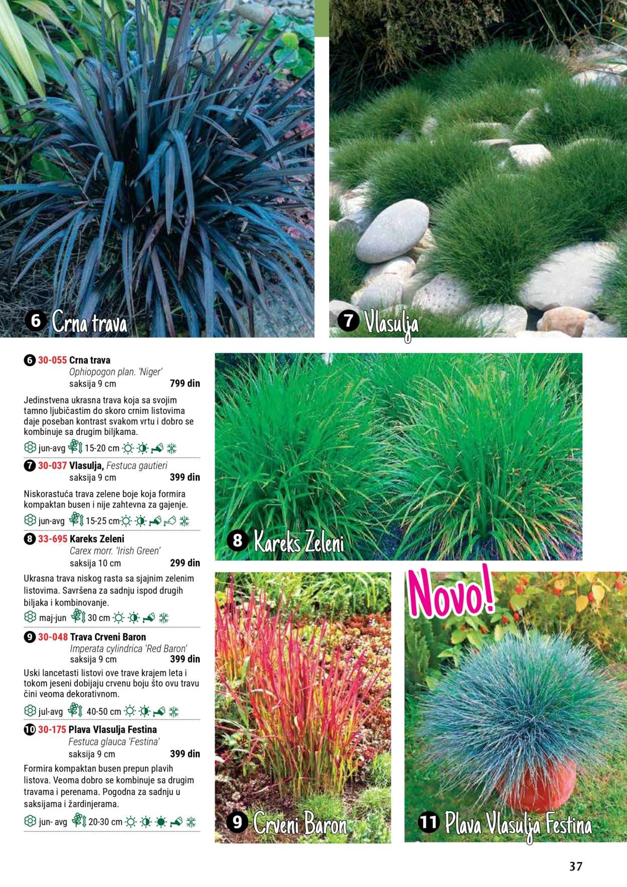 Flora Ekspres katalog. Stranica 37