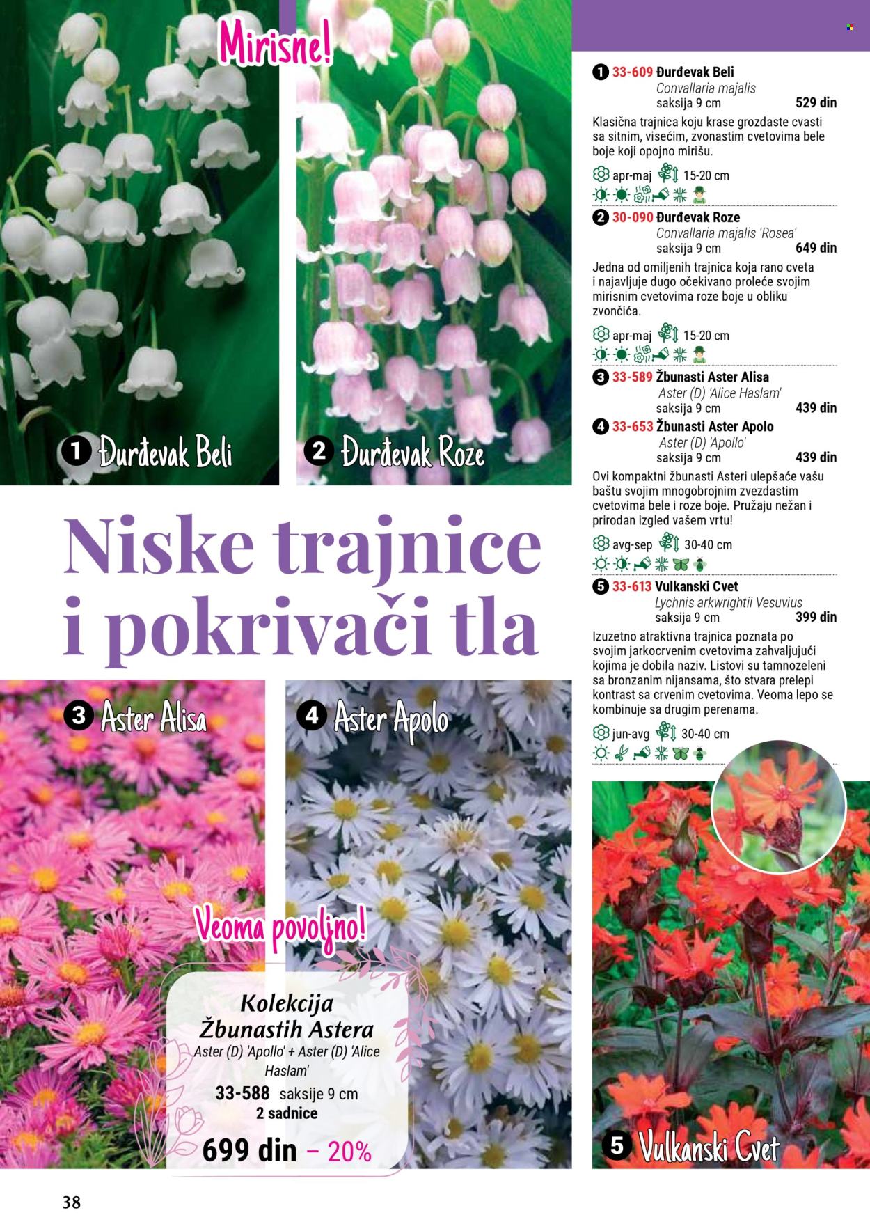Flora Ekspres katalog. Stranica 38